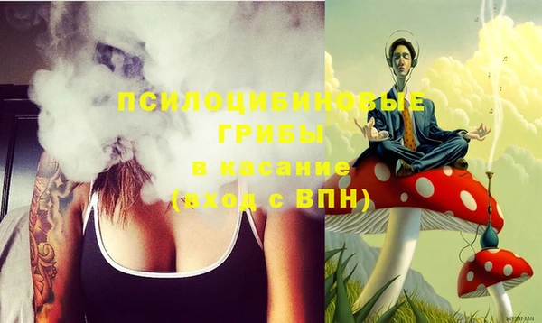 ECSTASY Козловка