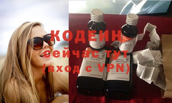 трава Кодинск