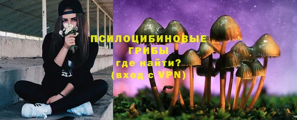 ECSTASY Козловка