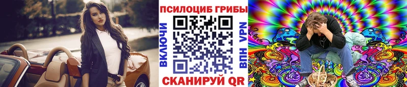 Псилоцибиновые грибы Psilocybe  Тулун 